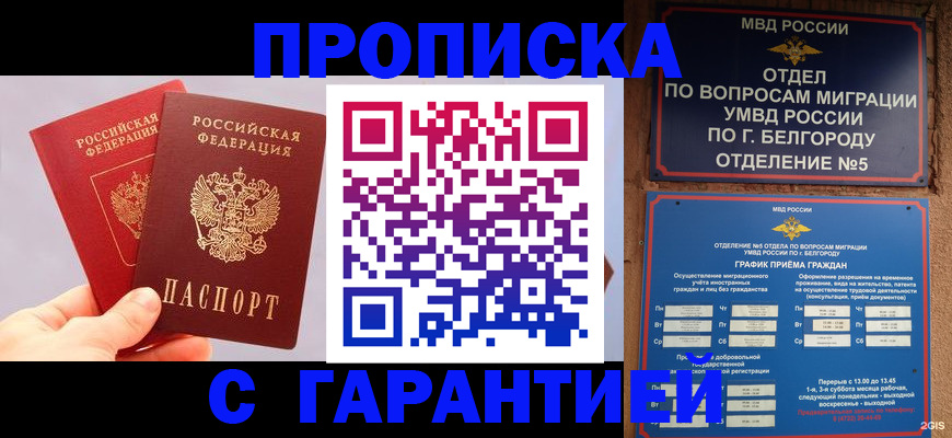 прописка 2025 в Истре